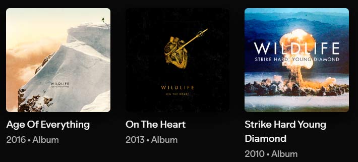 albums and singles by Wildlife