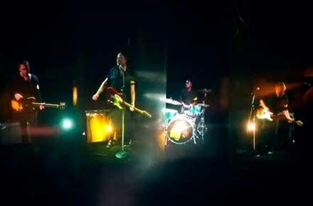 Wildlife - Dangerous Times